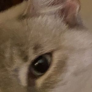 Meet your Posher, Pamela a.